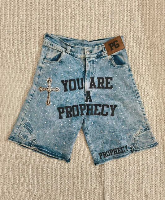 YOU ARE A PROPHECY JORTS